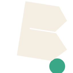 BIZZY CONSULTING